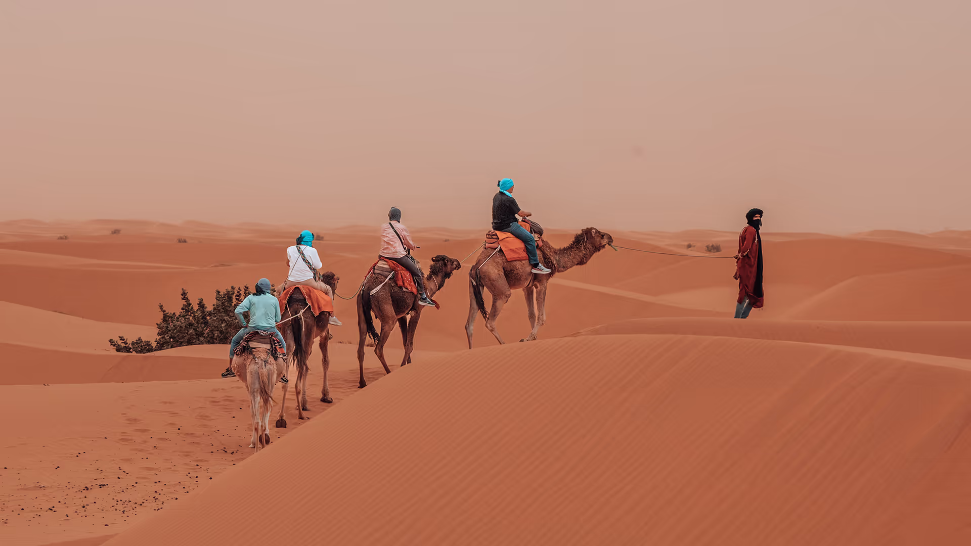 Guía bereber conduciendo una ruta en camello por las dunas del Sahara